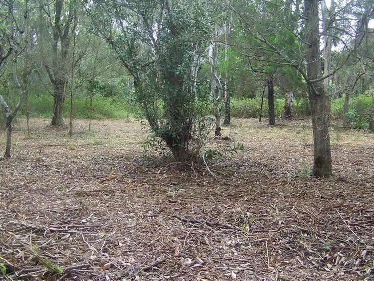 Fourth view of Homely land listing, 9 Goodsell Crescent, Lamb Island QLD 4184