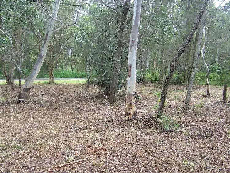 Fifth view of Homely land listing, 9 Goodsell Crescent, Lamb Island QLD 4184