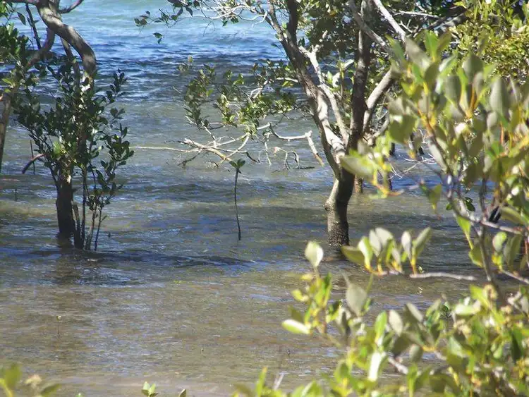 Seventh view of Homely land listing, 9 Goodsell Crescent, Lamb Island QLD 4184