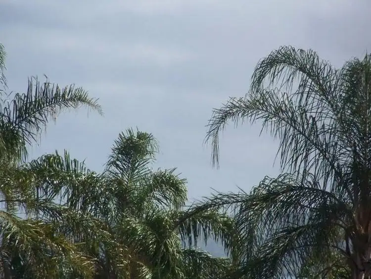 Seventh view of Homely land listing, 15 Shelly Crescent, Lamb Island QLD 4184