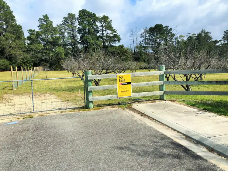 Lot 11 Falmouth Street, St Helens TAS 7216
