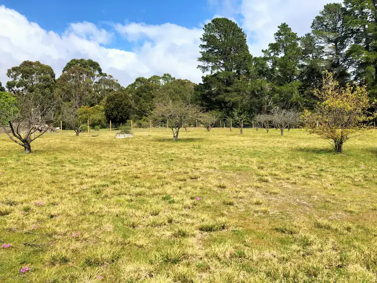 Fourth view of Homely land listing, Lot 11 Falmouth Street, St Helens TAS 7216