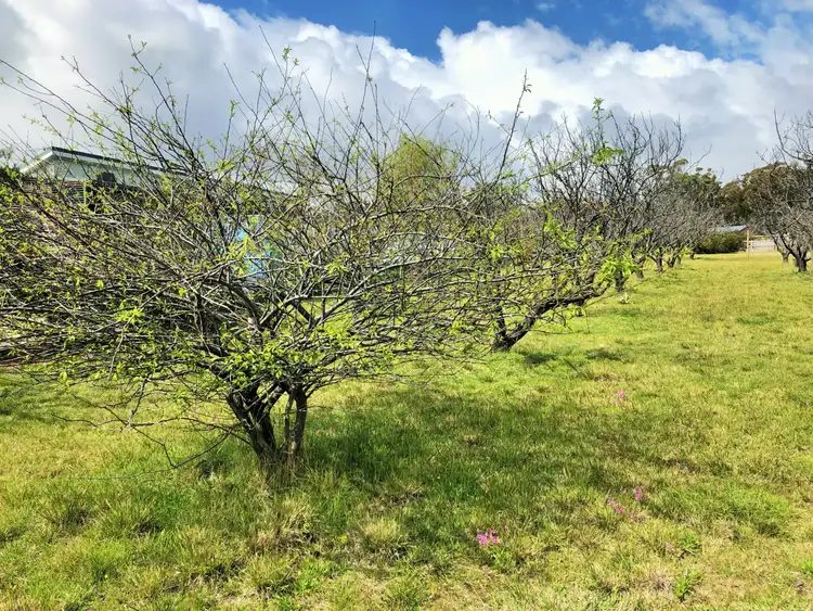 Fifth view of Homely land listing, Lot 11 Falmouth Street, St Helens TAS 7216