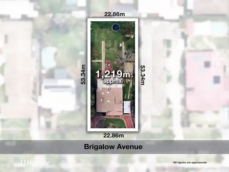 Main view of Homely house listing, 11 Brigalow Avenue, Kensington Gardens SA 5068