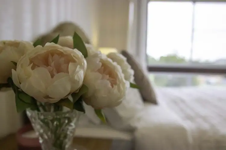 Fifth view of Homely house listing, 14 Murray Drive, Coffs Harbour NSW 2450