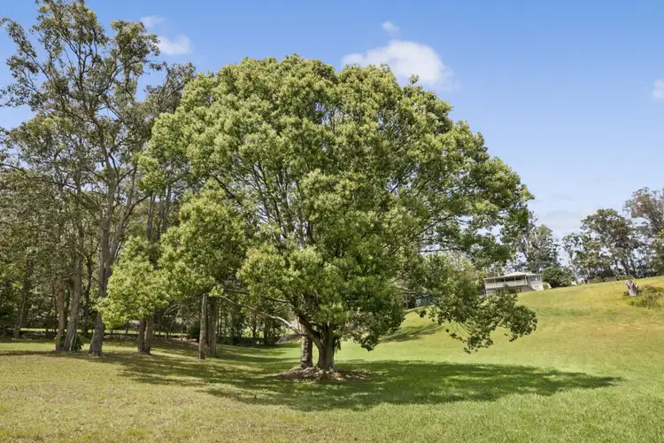 Third view of Homely house listing, 96 Trees Road, Tallebudgera QLD 4228