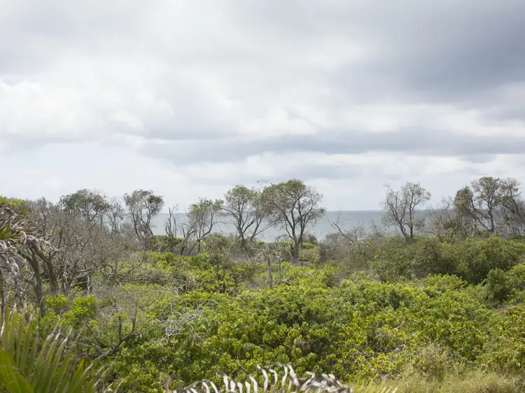 Fifth view of Homely unit listing, 3/58 Peregian Esplanade, Peregian Beach QLD 4573