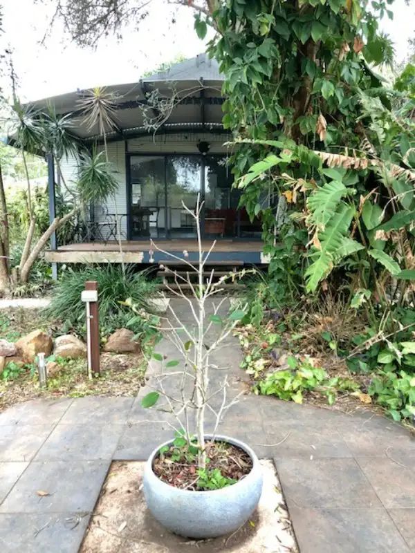 Third view of Homely house listing, 16 Junee Parade, Karragarra Island QLD 4184