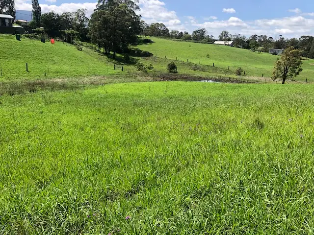 Second view of Homely land listing, 9 Nimmitabel Street, Bemboka NSW 2550