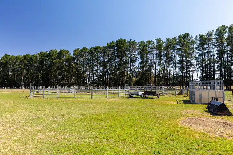 Fourth view of Homely rural property listing, 3555 Castlereagh Highway, Ben Bullen NSW 2790