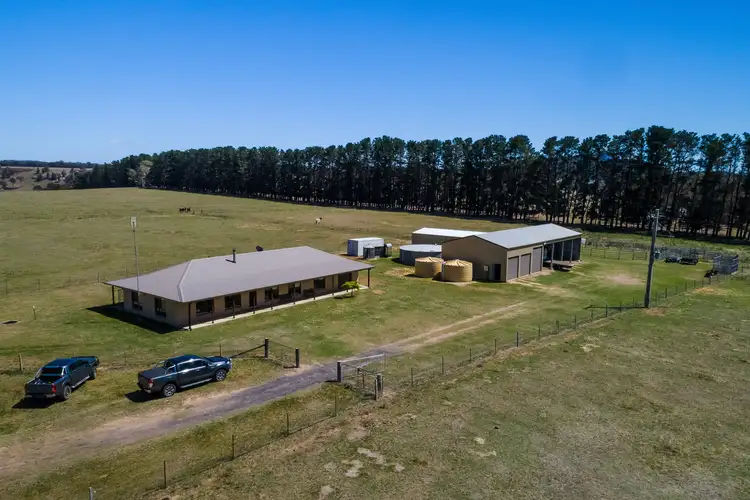 Fifth view of Homely rural property listing, 3555 Castlereagh Highway, Ben Bullen NSW 2790