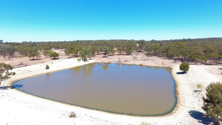 Second view of Homely rural property listing, 698 Wilga Ridge Road, Fifield NSW 2875