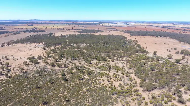 Third view of Homely rural property listing, 698 Wilga Ridge Road, Fifield NSW 2875