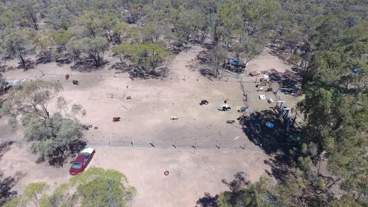 Fifth view of Homely rural property listing, 698 Wilga Ridge Road, Fifield NSW 2875