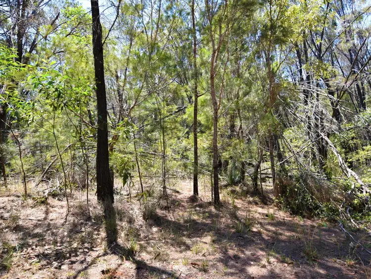 Main view of Homely land listing, 25 Delmar Street, Russell Island QLD 4184