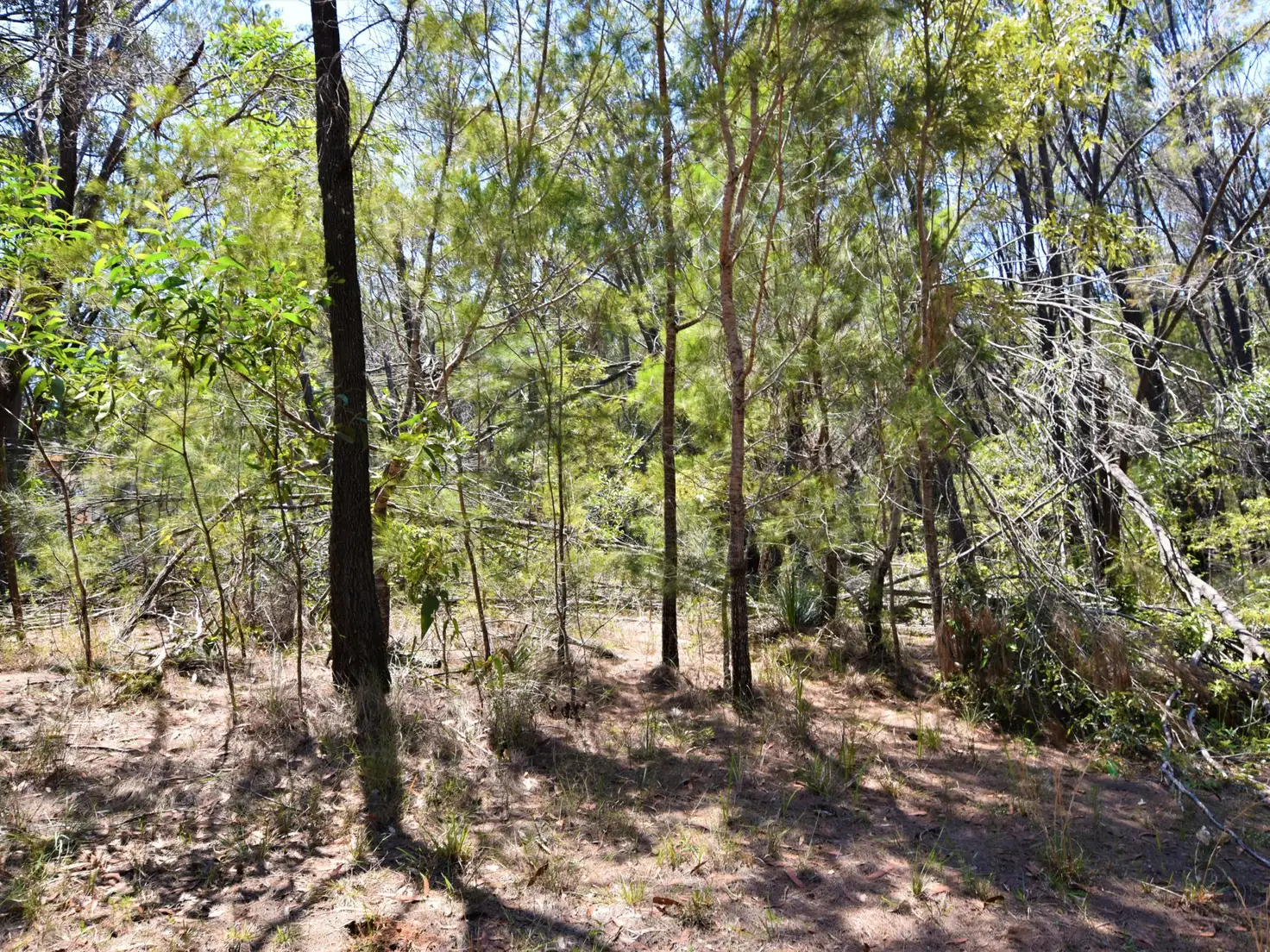 Main view of Homely land listing, 25 Delmar Street, Russell Island QLD 4184