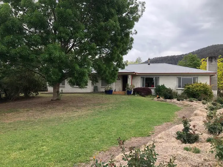 294 Polacks Flat Road, Bemboka NSW 2550