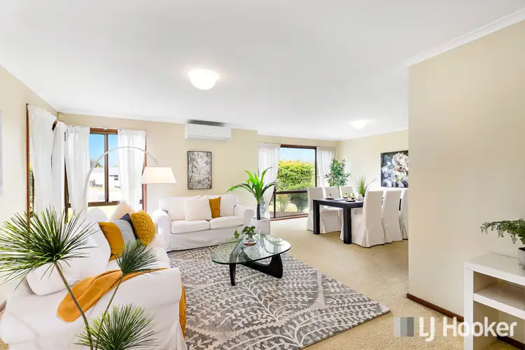 8 Pandora Court, Cleveland QLD 4163
