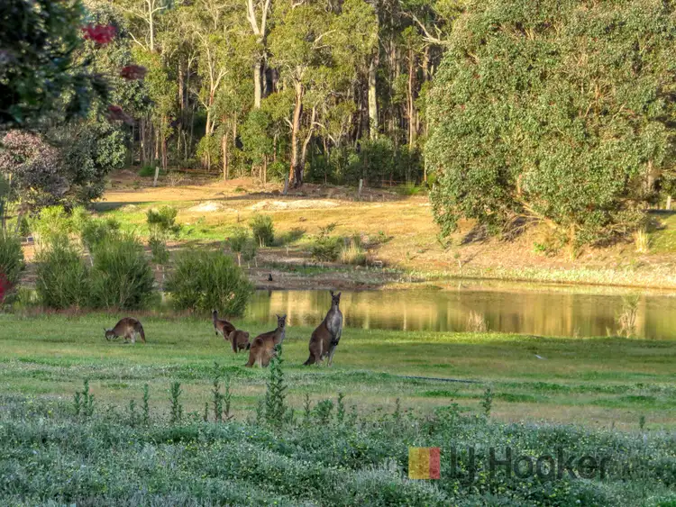 Third view of Homely house listing, 84 Song Place (Perup), Manjimup WA 6258