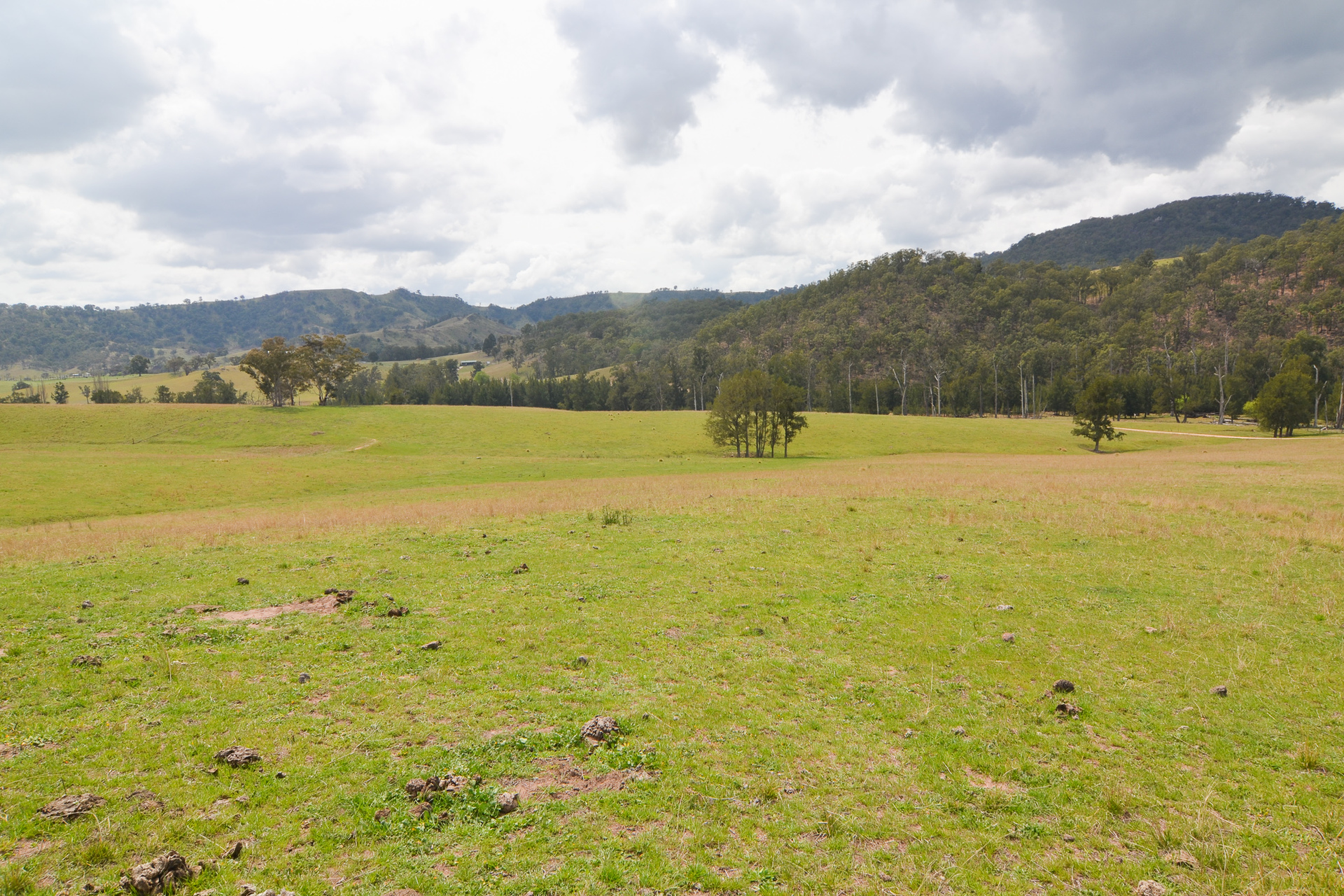 Main view of Homely rural property listing, Level Lot 17/916 Peach Tree Road, Megalong NSW 2785