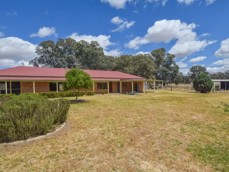 103 Pattersons Lane, Young NSW 2594