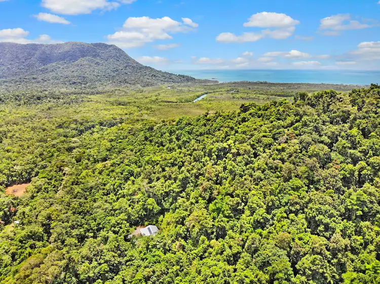 Fourth view of Homely house listing, 50 Carbeen Road, Daintree QLD 4873