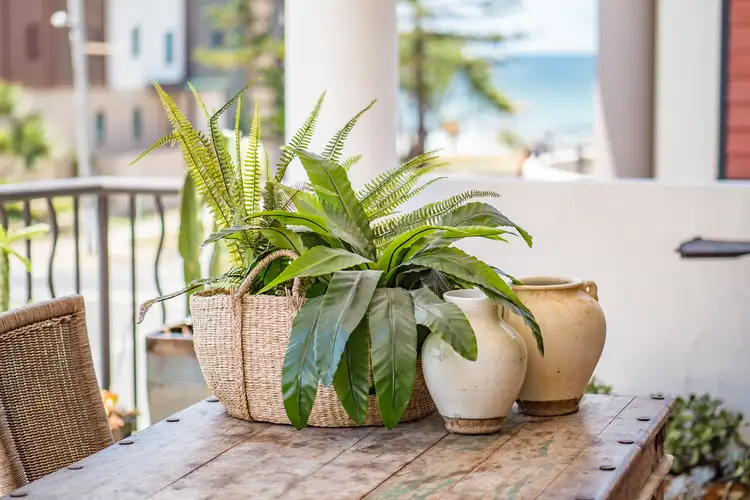 Second view of Homely semi-detached listing, 2/6 Arthur Street, Mermaid Beach QLD 4218