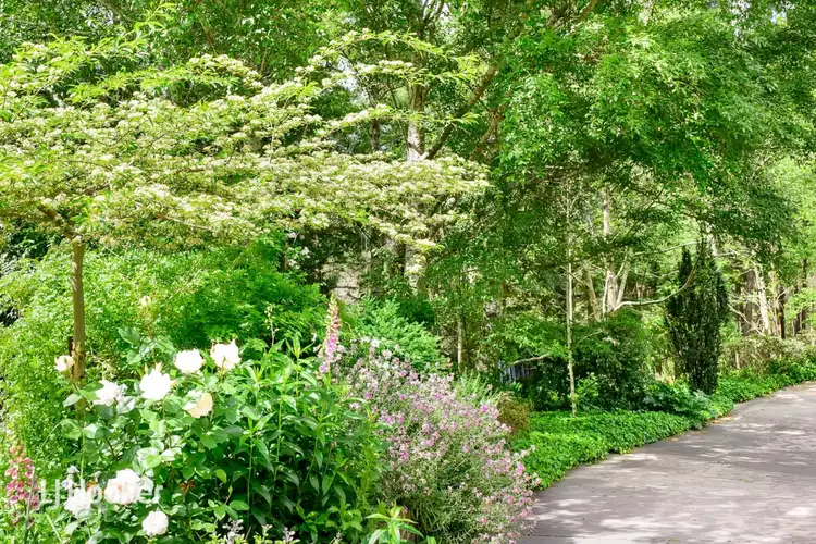 Sixth view of Homely house listing, 45 Wissell Street, Bridgewater SA 5155