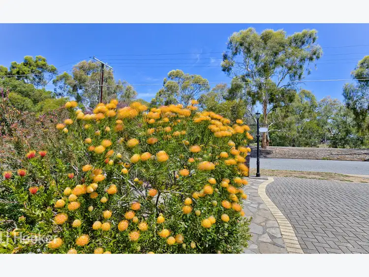 Fifth view of Homely house listing, 4 Horsley Street, Lockleys SA 5032