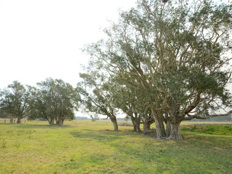 Sixth view of Homely rural property listing, 788 Manning Point Road, Oxley Island NSW 2430
