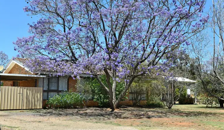Main view of Homely house listing, 48 Bridge Street, Gunnedah NSW 2380