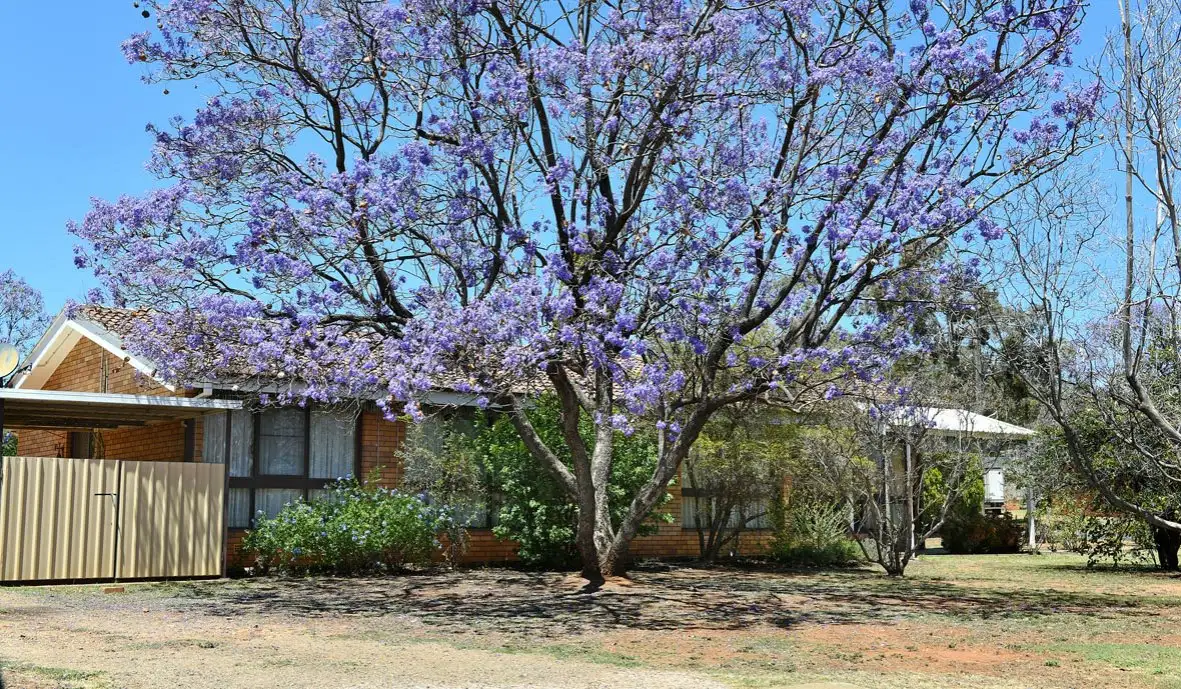 Main view of Homely house listing, 48 Bridge Street, Gunnedah NSW 2380