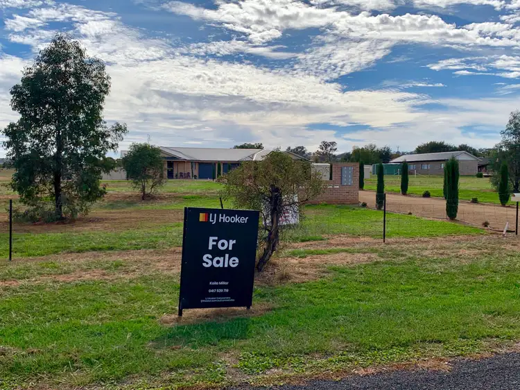Lot 101 McDonald Lane, Canowindra NSW 2804