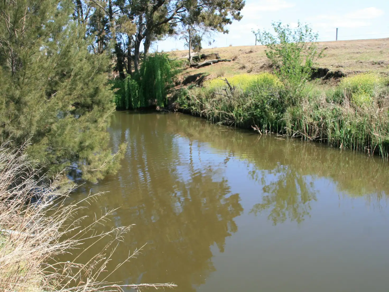 Main view of Homely rural property listing, Address available on request