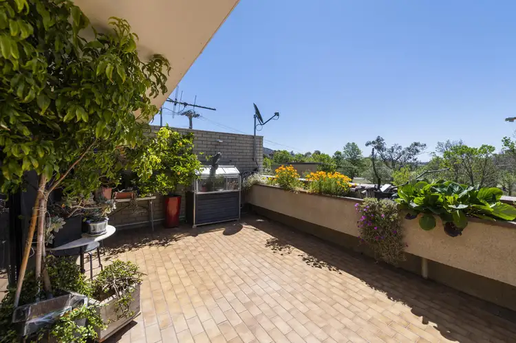 6/30 Gatton Street, Farrer ACT 2607