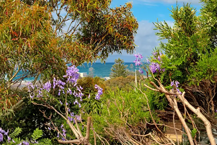 Sixth view of Homely apartment listing, 28/72-74 Pacific Parade, Dee Why NSW 2099