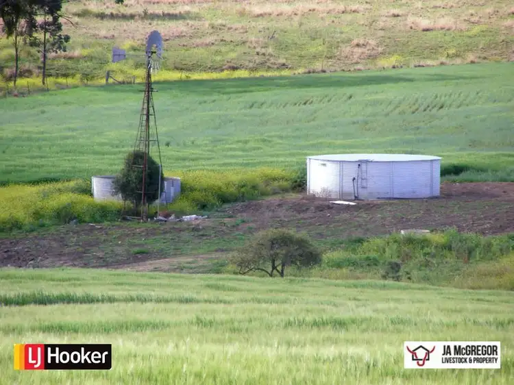 Third view of Homely rural property listing, Gragin Peak Road, Warialda NSW 2402