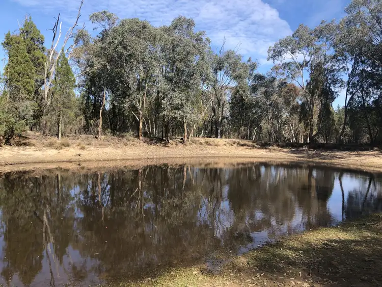 Third view of Homely rural property listing, 1 Major West Road, Grenfell NSW 2810