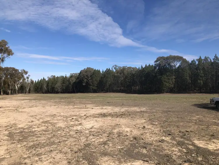 Seventh view of Homely rural property listing, 1 Major West Road, Grenfell NSW 2810