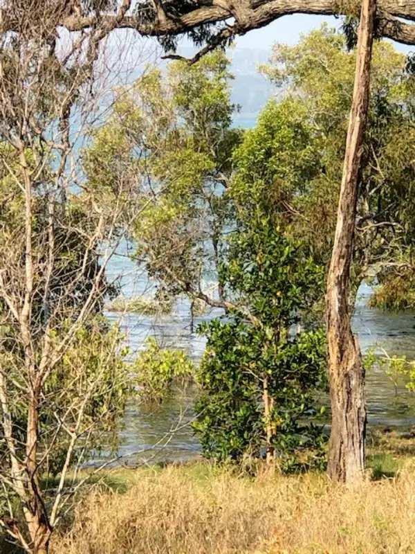 Third view of Homely land listing, 24 The Esplanade, Karragarra Island QLD 4184
