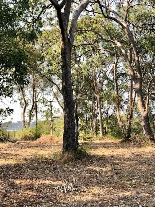 Seventh view of Homely land listing, 24 The Esplanade, Karragarra Island QLD 4184