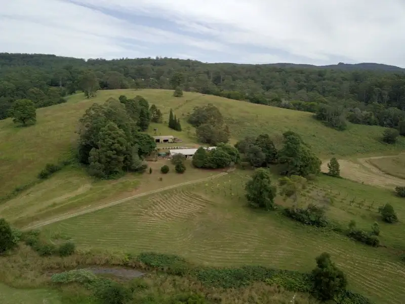 Main view of Homely rural property listing, 342 Deep Creek Road, Hannam Vale NSW 2443