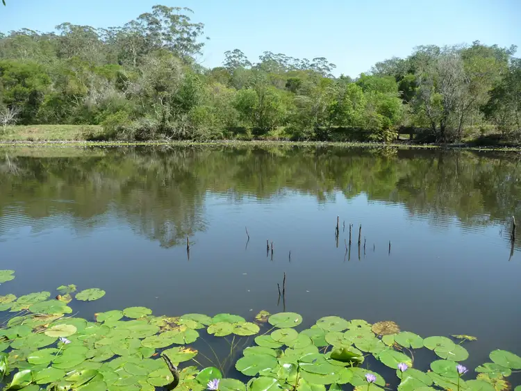Third view of Homely rural property listing, 342 Deep Creek Road, Hannam Vale NSW 2443
