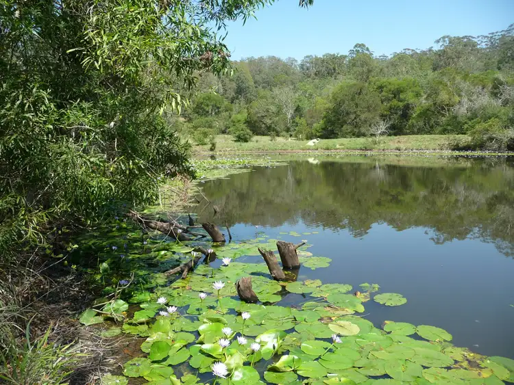 Sixth view of Homely rural property listing, 342 Deep Creek Road, Hannam Vale NSW 2443