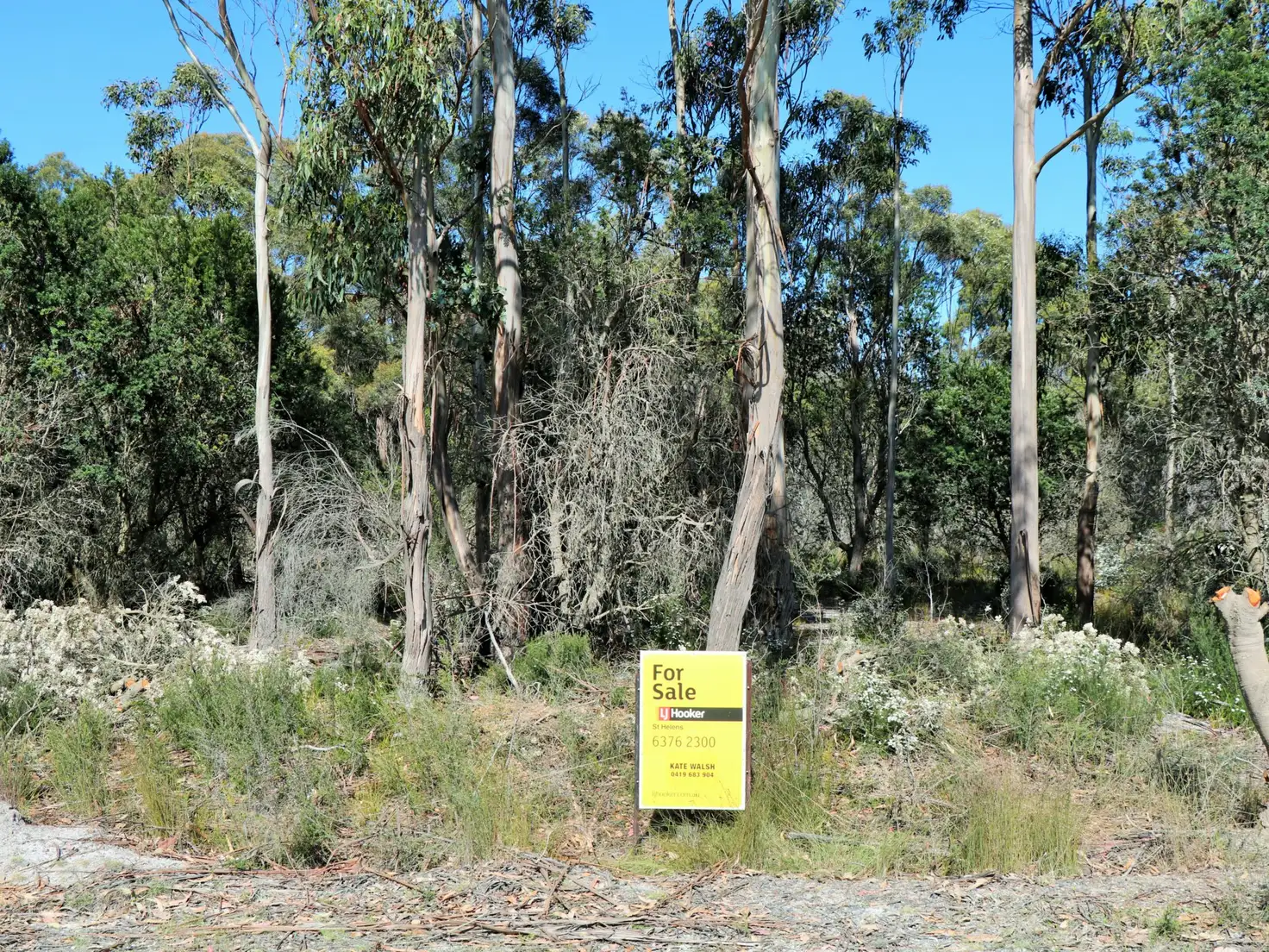 Main view of Homely land listing, 1072 North Ansons Road, Gladstone TAS 7264