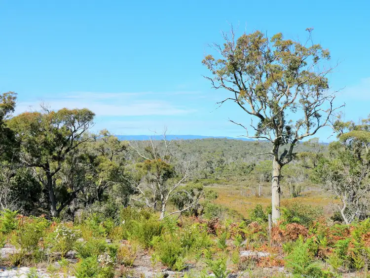 Second view of Homely land listing, 1072 North Ansons Road, Gladstone TAS 7264