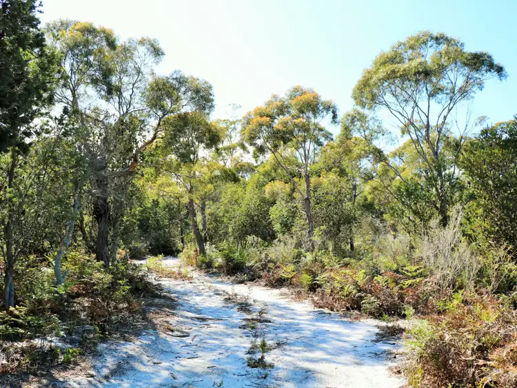 Third view of Homely land listing, 1072 North Ansons Road, Gladstone TAS 7264