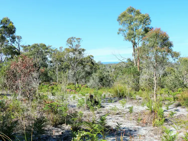 Fifth view of Homely land listing, 1072 North Ansons Road, Gladstone TAS 7264