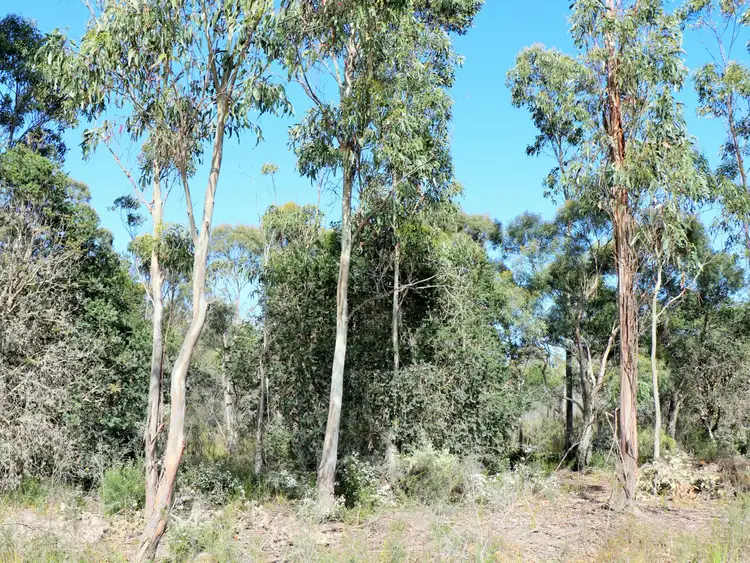 Sixth view of Homely land listing, 1072 North Ansons Road, Gladstone TAS 7264