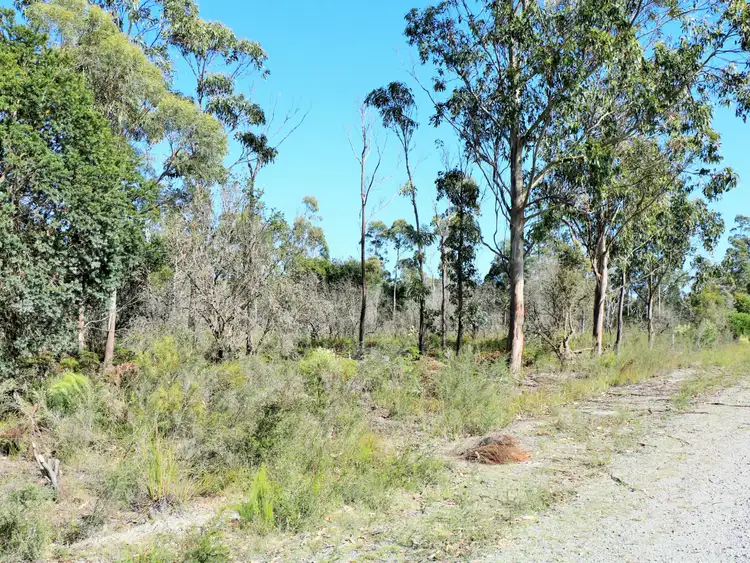 Seventh view of Homely land listing, 1072 North Ansons Road, Gladstone TAS 7264